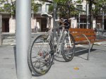DSC06667.jpg