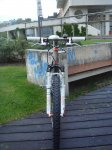 DSC06656.jpg
