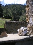 Imagen 064.jpg