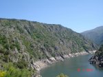DSC03771.jpg