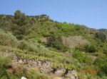 DSC03762.jpg