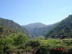 DSC03763.jpg
