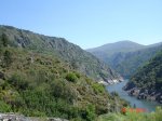 DSC03764.jpg