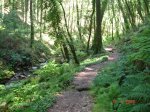 DSC03785.jpg