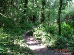 DSC03788.jpg