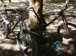 DSC03784.jpg