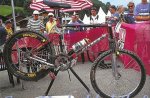 elev12k2720.jpg