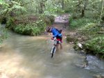 16052010281.jpg