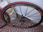 DSCN1333.jpg