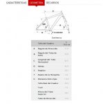geometria.JPG