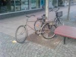P1955_19-05-10.jpg