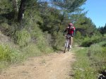 DSC04862.JPG