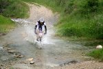 IMG_5341.JPG