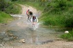 IMG_5333.JPG