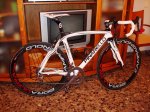 dogma 18052010 001.jpg