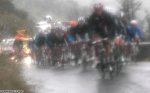 230-Tappa 11-14.jpg