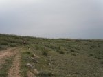 cuarta3.jpg