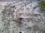 20052010_006.jpg