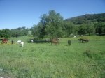 DSCF1760.jpg