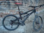 ibis guay3.jpg