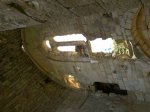 IMG_0167.JPG