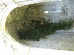 IMG_0166.JPG