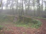 P1010008-0003.JPG
