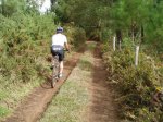 2006-10-08-LalinBtt-1270.jpg