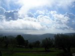 DSCN8486.jpg