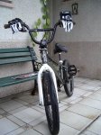 IMGP4319.JPG