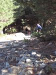 IMG_1699.jpg