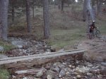 IMG_1732.jpg