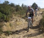 IMG_2597.jpg