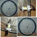 MAVIC CROSSLAND.jpg
