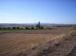 100_1393 (Small).JPG
