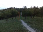 Camino entre pinos.jpg