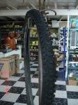 DSC03795.jpg
