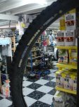 DSC03794.jpg