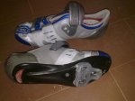 21052010078.jpg