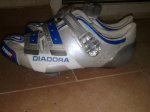 21052010076.jpg