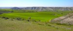 DSCN1580.JPG