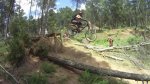 salto jamaicano.jpg