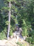 100_6431.JPG