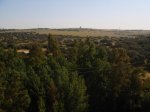 DSC02765.jpg