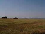 DSC02774.jpg