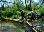 100_2206.jpg