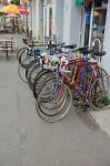 DSC_0320.jpg