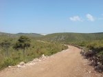 DSC04924.jpg
