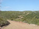 DSC04925.jpg