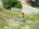 DSCN4146.JPG